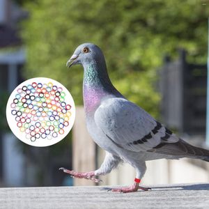 Autres fournitures pour oiseaux 100 pièces anneaux de pied de perroquet Identification de pigeon Pigeons empilables jouets les poussins de poulet