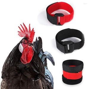 Autres fournitures pour oiseaux 1 paire sans corbeau collier de coq poulet sans bruit colliers anti-crochet