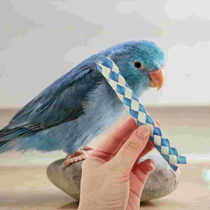 Autres fournitures d'oiseaux 24 pièces jouet perroquet rongeant tube tressé fête d'anniversaire faveur Pinata remplissage piège à doigts (paquet de 24) le cadeau pièges en bambou