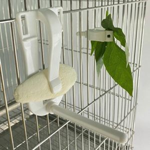 Autres fournitures d'oiseaux Oiseaux Support de nourriture Pet Perroquet Alimentation Fruits Légumes Clip Seiche Bone Feeder Dispositif Pin Clamp Cage Accessoires