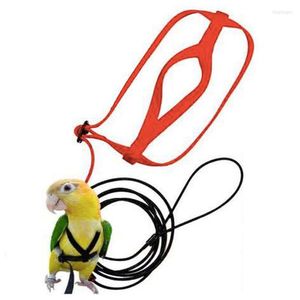 Autres fournitures d'oiseaux Perrot Leash Anti-bite Flying Training Corde Kits pour animaux