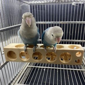 Autres fournitures d'oiseaux Jouets à mâcher pour animaux de compagnie Perroquets Perches Support Plate-forme Meulage pour les morsures de perruches / Tranning