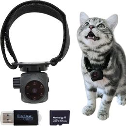 Autres fournitures pour chats Caméra de collier pour animaux de compagnie Pas de Wifi requis Mini caméra de nounou cachée avec carte SD audio/vidéo Caméra de collier de chat à vision nocturne infrarouge 231122