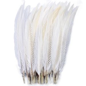 Otros suministros para fiestas de eventos Venta al por mayor Plumas de faisán de plata natural Pluma de pollo blanca larga para manualidades Decoración Ropa Carnaval Decoración de bodas 231113