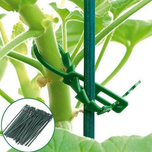 Autres fournitures de jardin 50pcs / lot attaches de câble réutilisables clips de support de plante arbustes attaches pinces de verrouillage d'arbre outils en plastique réglables