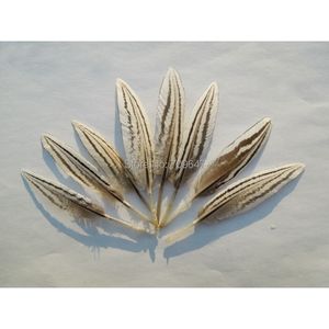 Autres outils à main 100PcsLot5-8cm Long NATUREL Argent Faisan Petites Plumes De Quill Petit Artisanat Blanc Noir Quills pour Bijoux et Accessoires 230704