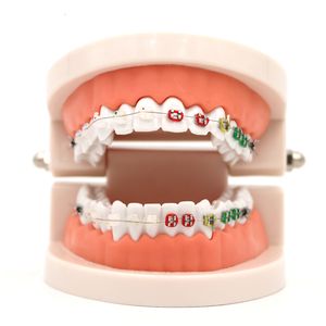 Autre hygiène bucco-dentaire 1pc modèle de traitement orthodontique dentaire avec support en céramique ortho métal fil d'arc tube buccal liens de ligature outils dentaires 230524