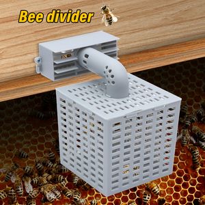 Autres fournitures pour animaux de compagnie Outil de ruche d'abeille Diviseur automatique Empêcher les abeilles de s'échapper Supprimer les outils d'apiculteur mâle Accessoires de ruche 1Pc 230704