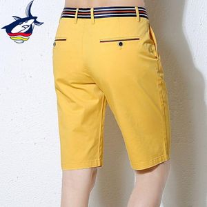 Pantalones Moda Tace Shark Brand Shorts Hombres 97% Algodón Transpirable Casual Shorts para hombres Hasta la rodilla Amarillo Rojo Pantalones cortos Tallas grandes 38