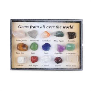 Party Favor - Colección de minerales de roca de 15 piezas con estuche de exhibición de caja de coleccionista, hoja de identificación, juego de iniciación para principiantes, kit de cristal de piedras preciosas para niños, educación científica de geología STEM