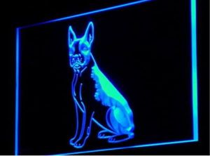 pe03 Boston Terrier Dog Pet Shop cerveza bar 3d signos culb pub led neon light sign hogar manualidades decorativas