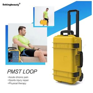 PEMF Double boucle pour la physiothérapie humaine physiothérapie magnétique thérapie Machine PMST pour le traitement de la douleur à l'épaule glacée Récupération des muscles humains