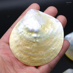 Collares pendientes Moda Concha natural Encantos Madre de perla Mar Sin agujero para DIY Collar Accesorios Joyería Suministros Regalo