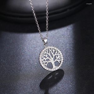 Pendentif Colliers Mode Simple Rond Zircon Arbre Collier Femme Clavicule Chaîne Élégante Princesse Charme Bijoux Petite Amie Cadeau D'anniversaire