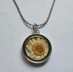 Pendentif Colliers Naturel Véritable Fleur Séchée Tournesol Collier Verre Rond 28mm Médaillon Tour De Cou Steampunk Transparent Po Boîte Cadeaux