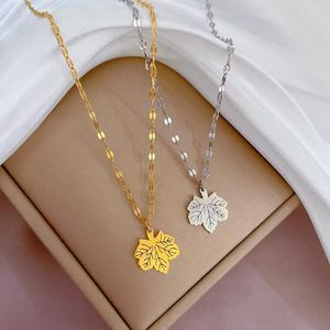 Pendentif Colliers Collier Feuilles artificielles Palmier inoxydable Lucky Five Clover Automne Golden Designer Bijoux