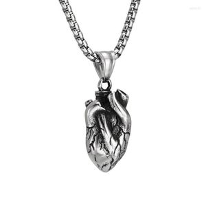 Colliers avec pendentif en acier inoxydable massif pour homme anatomique véritable cœur humain