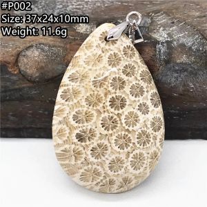 Pendentifs Top naturel blanc chrysanthème précieux corail pendentif bijoux pour femmes hommes guérison amour cadeau cristal argent perles pierre AAAAA