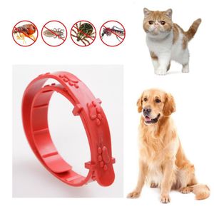 Pet Dog Cat Flea-killing Collar Dog Anti-flea Circle Cat Flea Removal Collar Against Anti Tick Quick Kill Remove Protect Rubber265h