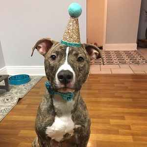 Sombrero de fiesta para mascotas, corona, pajarita, sombrero de cumpleaños para perro, traje de fiesta, sombreros para cachorros, accesorios para disfraz de gato