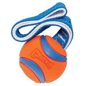 Pet Super Drawstring Ball Dog Toy Resistente a morder los dientes Perros pequeños, medianos y grandes Golden Retriever Pets Game Supplies 211111