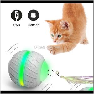 Fournitures pour animaux de compagnie Garden Drop Drop livraison 2021 Electric Magic Ball Toy Matic Rolling Bouncing Intelligent LED Light Interactive Teasing Cat BE