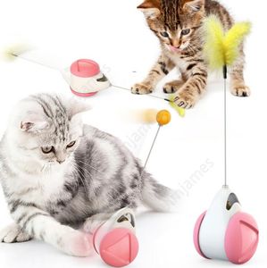Moulin à vent pour animaux de compagnie, jouet interactif pour chat, plateau tournant, bâton de chat amusant, Puzzle d'entraînement avec plumes d'herbe à chat, fournitures pour animaux de compagnie, DAJ221