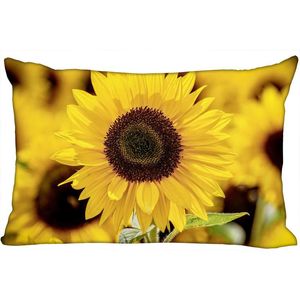 Funda de almohada Paisaje Girasol Cubierta Dormitorio Hogar Oficina Funda de almohada Rectángulo Cremallera Fundas Tela satinada 10-10