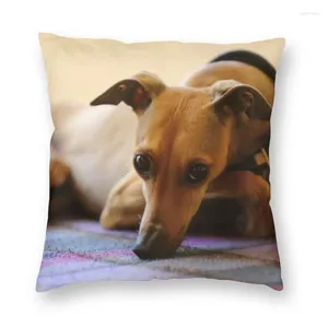 Oreiller mignon de grishound whippet couverture décoration Suighthound dog s lancer pour canapé impression double face