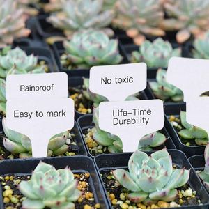 Macetas macetas 100pcs etiquetas de planta t marcadores tlets impermeables etiquetas de jardín de jardín para martillo vegetal