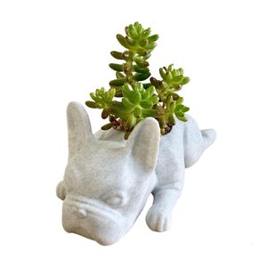 Jardinières Pots Mignon Bouledogue Chiot Animal Statue Creative Mini Résine Chien Planteur Succulent Petit Pot De Fleur Air Plante Bonsaï Rempotage Conteneur 230620