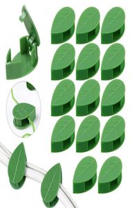 Jardinières Pots Plante Grimpante Fixation Murale Clips Support De Légumes De Jardin Clip De Reliure Invisible Mur Vignes Auto-Adhésif XB11967889