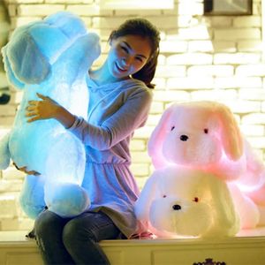 Poupées en peluche Kawaii Creative Night Light LED Beau chien en peluche et jouets poupée anniversaire cadeau de Noël pour enfants enfants ami 231030