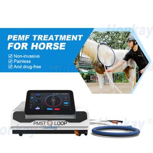 Machine de réhabilitation de boucle PMST PEMF Pulsed Etromagnétique Feild Magnetic Therapy Equipment for Horse Doule Relief Sport Buthing Recovery and Human Health Care