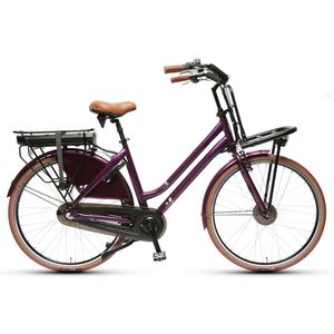 Vélo électrique verdoyant populaire vélo à vélo de vélo