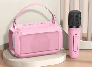 Haut-parleur karaoké Portable, Microphone sans fil, caisson de basses RGB, Bluetooth, son stéréo HIFI, système sonore de fête pour Home cinéma