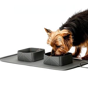 Bol portable pour animaux de compagnie bol pliable en silicone pour chien bol de voyage pour chat bol de nourriture d'eau pliable double bols d'eau pour chien de voyage