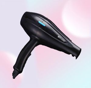 Sèche-cheveux électrique puissant pour Salon de coiffure, sèche-cheveux électrique à vent froid avec buse de collecte d'air D40 2112244696694