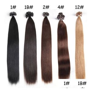 Extensions de cheveux pré-collés 1G S 100G Pack 14 24 100 Human U Tip Remy Péruvien Straight Wave Nail 5 Couleur Option Drop Livraison Produits Dh9Sp