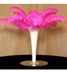 Prefecto pluma de avestruz rosa Natural 1012 pulgadas decoración de boda centro de mesa decoración de fiesta suministro para eventos 3625962