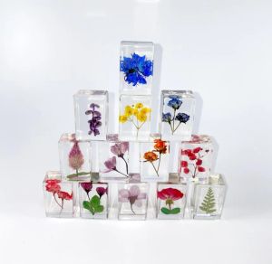 Presse-papier à fleurs pressées Découverte scientifique Vraies fleurs Collection d'échantillons Échantillons en résine Poids en papier Cube pour cadeaux de fête pour enfants ZZ