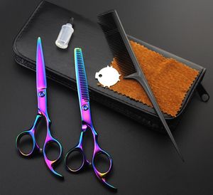 Kit de ciseaux de coupe/amincissement professionnel 2CR 62HRC de 6,0 pouces avec étui en cuir au détail + peigne 5 couleurs pour les options