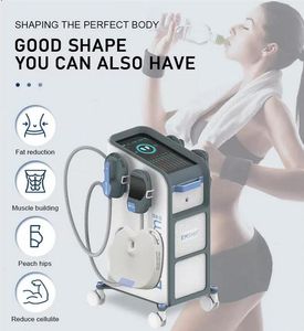 Professionnel EMS Body Sculpting Minceur Emslim Neo Machine Perte de poids Stimulateur musculaire EMS Thérapie EMS amincissant construire la graisse musculaire réduire la machine