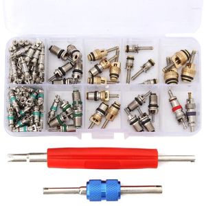 Ensembles d'outils à main professionnels 102x R134A Car A/C Core Valves Portable Automotive Air Conditioning Assortiment Kit Valve Cores Remover For Most