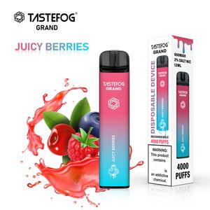 QK Tastefog Grand 4000 bouffées Vapes rechargeables OEM 2% Nic Jetable Vape Usine Cigarette électronique E-Cig Vente en gros