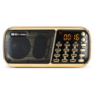 Radio B853 Portable Small Audio Old Man Portable FM Radio MP3 Format Player prend en charge la double carte TF Disque U et la mini radio audio externe