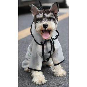 Raincoats 2023 Nouveaux vêtements pour chiens arc-en-coinceur petit chien arccoat à quatre pattes minces impermérées imprimées