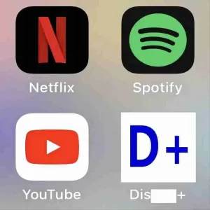 Feller-New ou votre Spotify Netflix DLSneyship dans les 12 heures, les téléphones mobiles, les ordinateurs et les téléviseurs sont tous des services après-vente disponibles