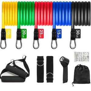 Resistance Bands Set Bodybuilding Home Gym Equipment Professional Weight Training Fitness Elastic Rubber Workout Expander