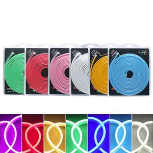 Vendita al dettaglio Blister Kit 2835 SMD 120LED Flex Neon Light Silicone LED Strip Rope Light DC12V Impermeabile IP65 Decorazione pubblicitaria fai da te